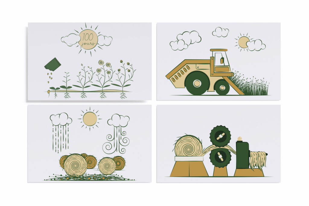 Illustrations pour Depestele